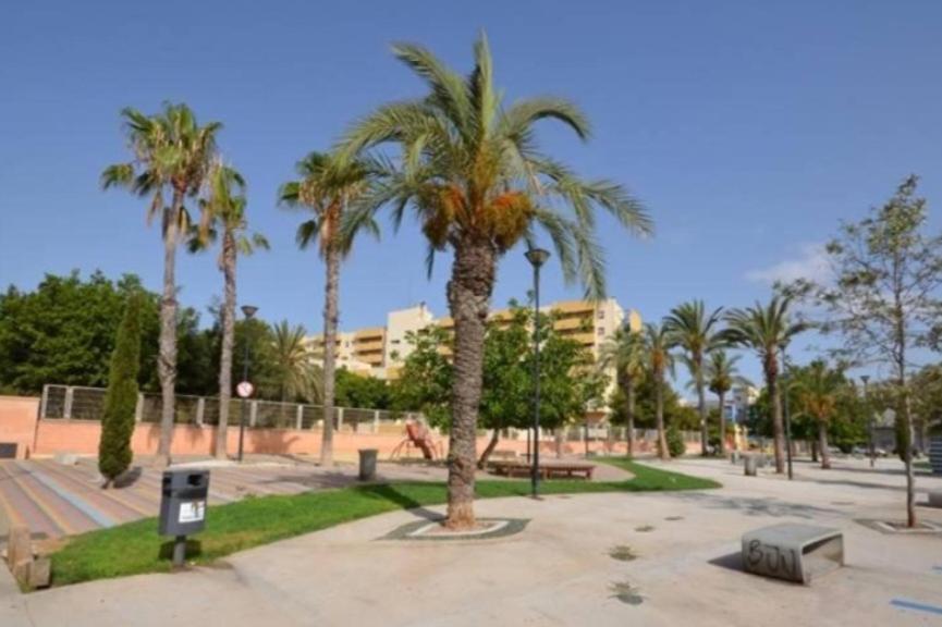 Apartamento Los Gases Torrevieja Exterior photo